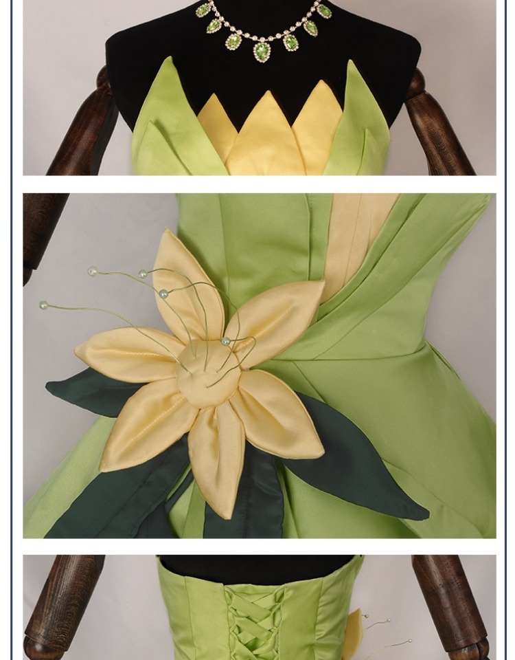 Robe de princesse Tiana, Costu - Men Accessories For Party avis et prix